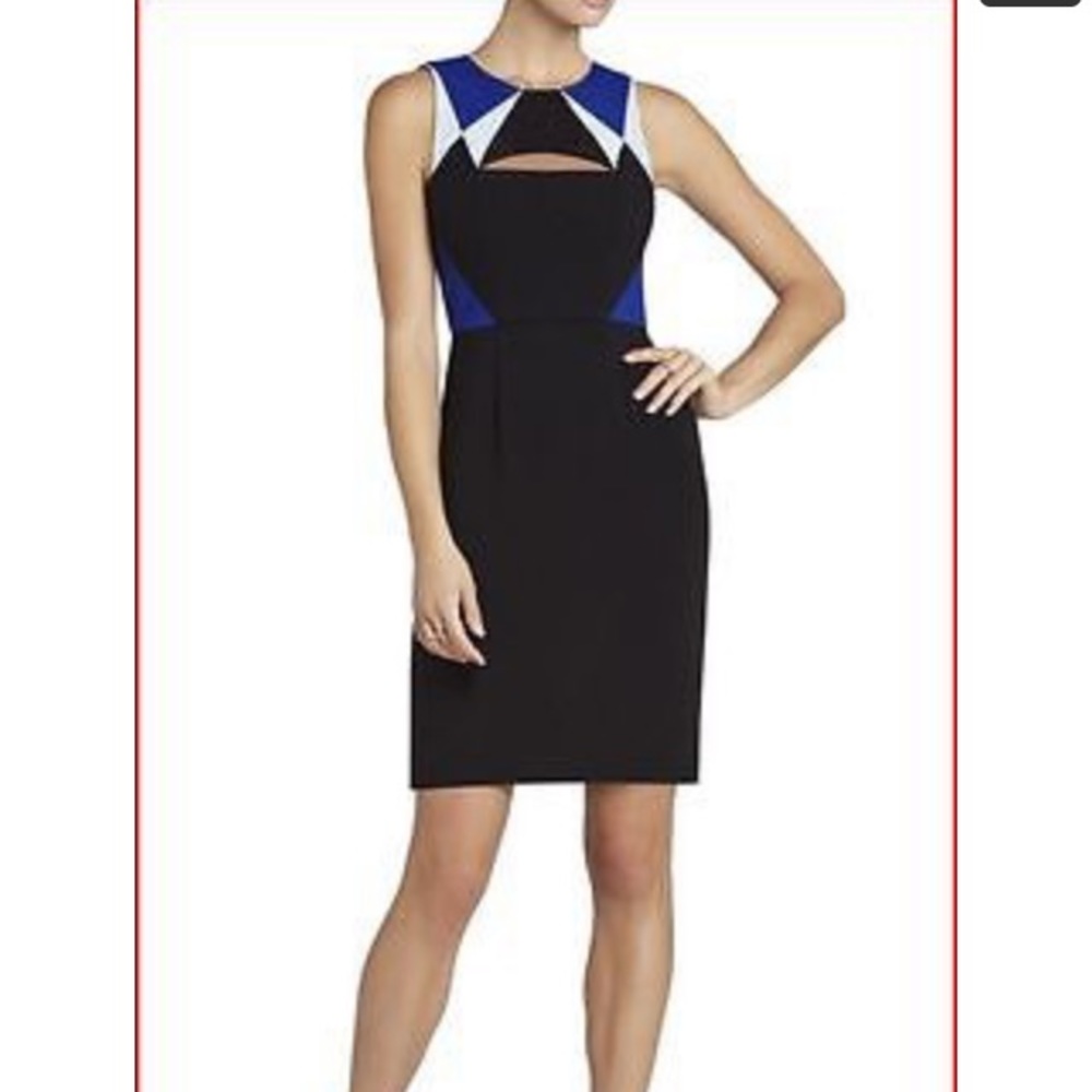 👗 BCBGMaxazria Dress 👗